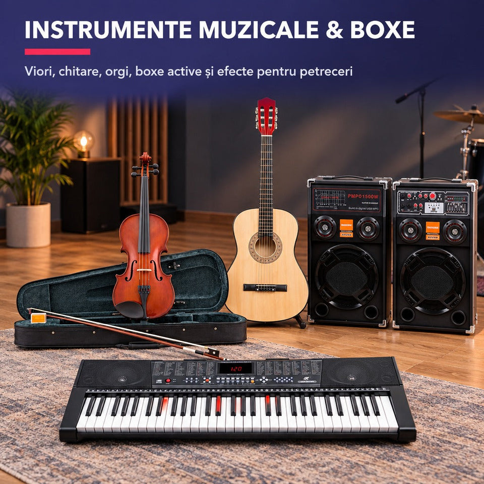 Instrumente muzicale & boxe